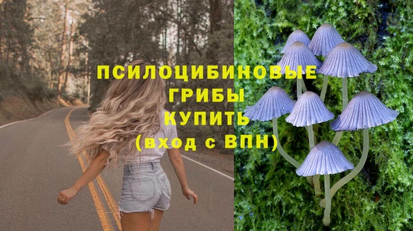 стафф Богородицк