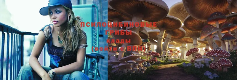 Галлюциногенные грибы MAGIC MUSHROOMS  Кирсанов 